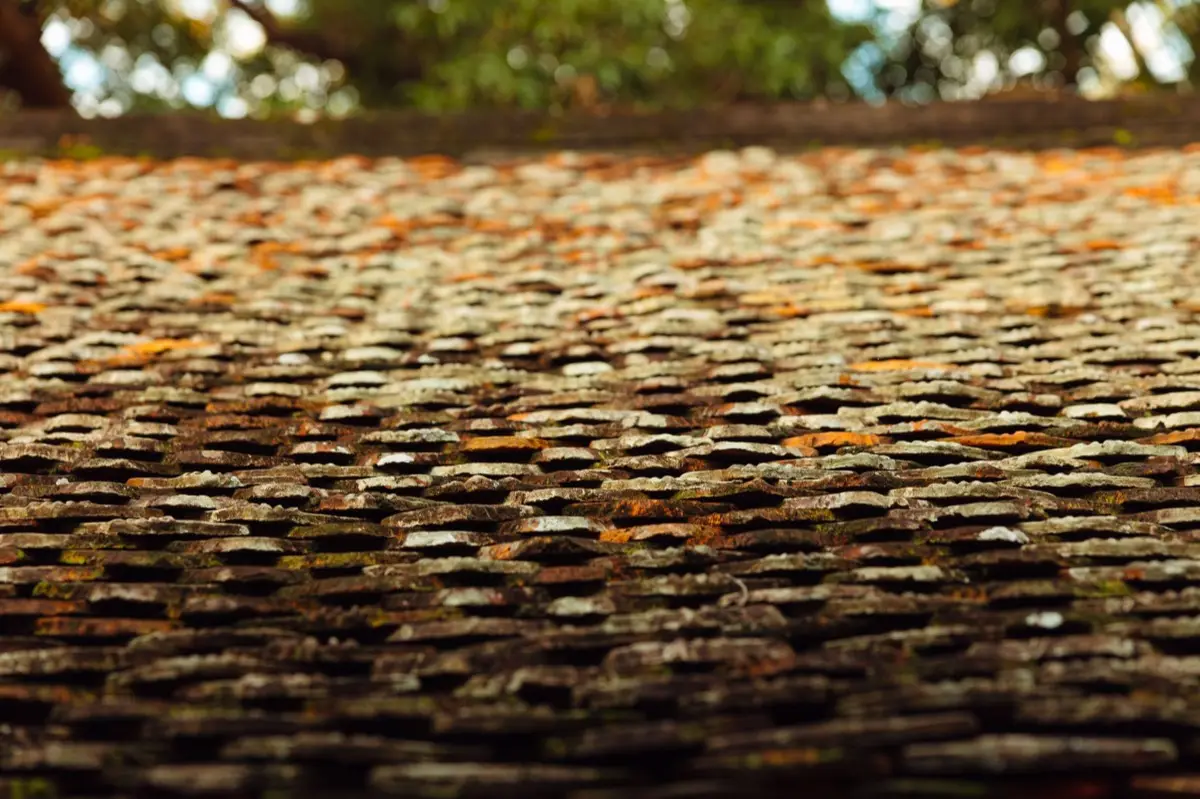 Aging shingle roof with moss growth and granule loss in Mansfield, TX